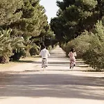 Κατάλυμα σε φάρμα Sella&mosca Casa Villamarina