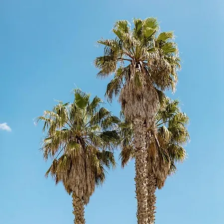 Sella&mosca Casa Villamarina مزرعة للإقامة *